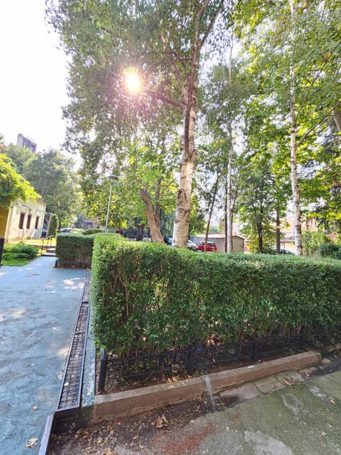 Booking Apartments Alone 1 Beograd Ngoại thất bức ảnh